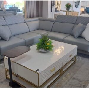 Boston genuine leather couch